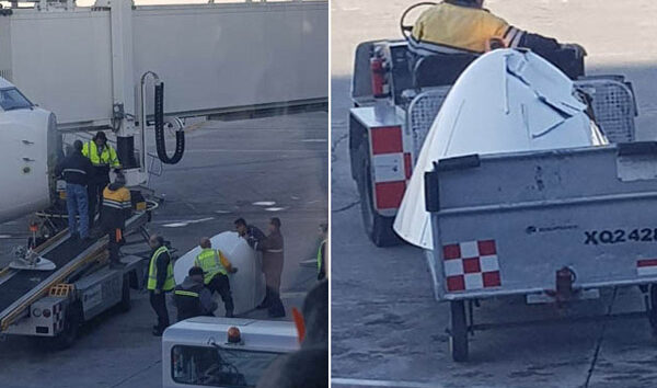 Meksida B737-800’e inişte kuş çarptı