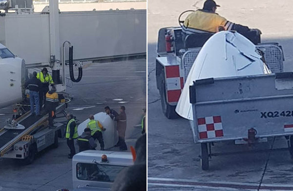 Meksida B737-800’e inişte kuş çarptı