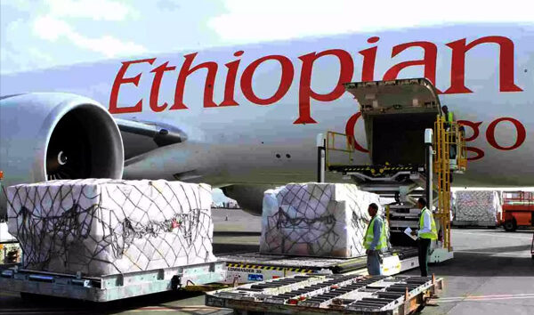Ethiopian Airlines kargo filosunu büütüyor
