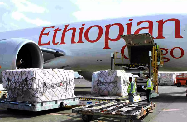 Ethiopian Airlines kargo filosunu büütüyor