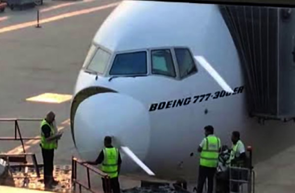 Emirates’in Dubai-Delhi uçağına kuş çarptı