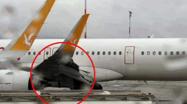 Pegasus Kopenhag uçağına kuş çarptı geri döndü