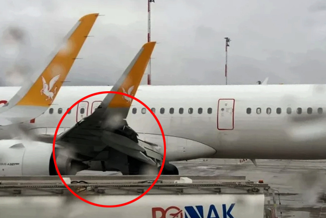 Pegasus Kopenhag uçağına kuş çarptı geri döndü